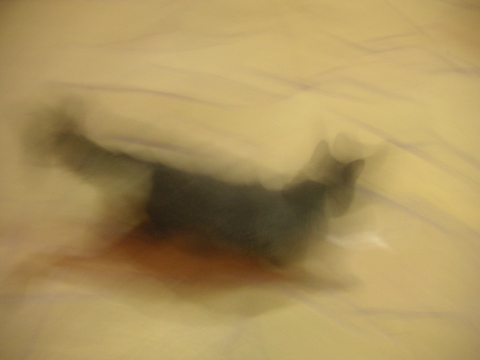 s_B_PICT0045.jpg